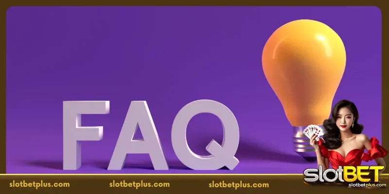 Key Information Players Often Ask About