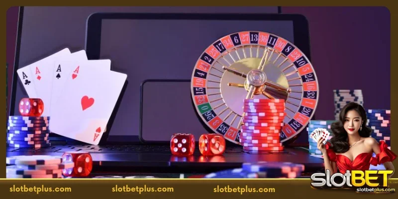 Revealing Premium Live Casino Games at SLOTBET
