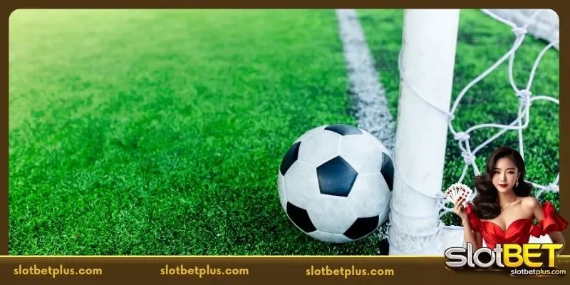 The Growth of Localized Betting with SLOTBET Sports