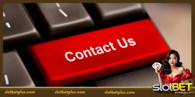 The Technical Architecture Behind the Contact Us Portal