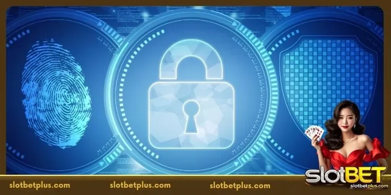 Understanding the Structure of the SLOTBET Privacy Policy