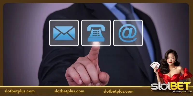 You Should Contact Us for Instant Assistance